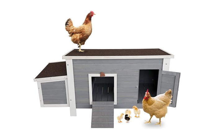  Petsfit Chicken Coop