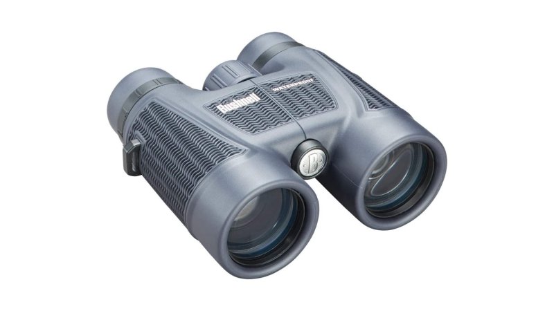  Bushnell H2O 10x42