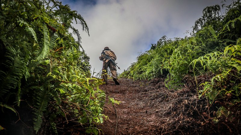 In a war against China, fighting in the jungle could be critical. These soldiers can teach you how