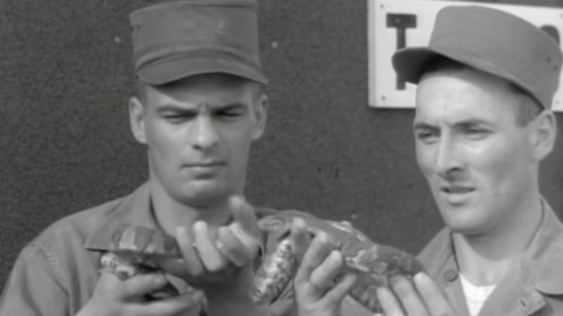 This Army video shows how much Ranger School has changed in 70 years