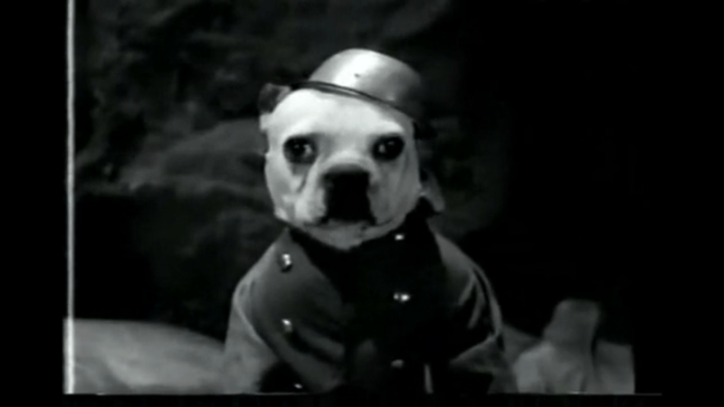 That time they made a parody of ‘All Quiet on the Western Front’ starring dogs