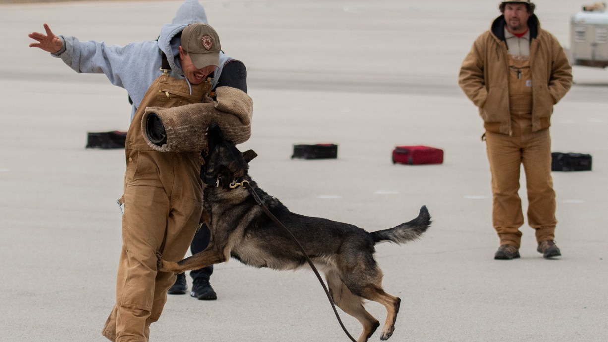 Air Force Working Dog Handlers no longer eligible for special pay