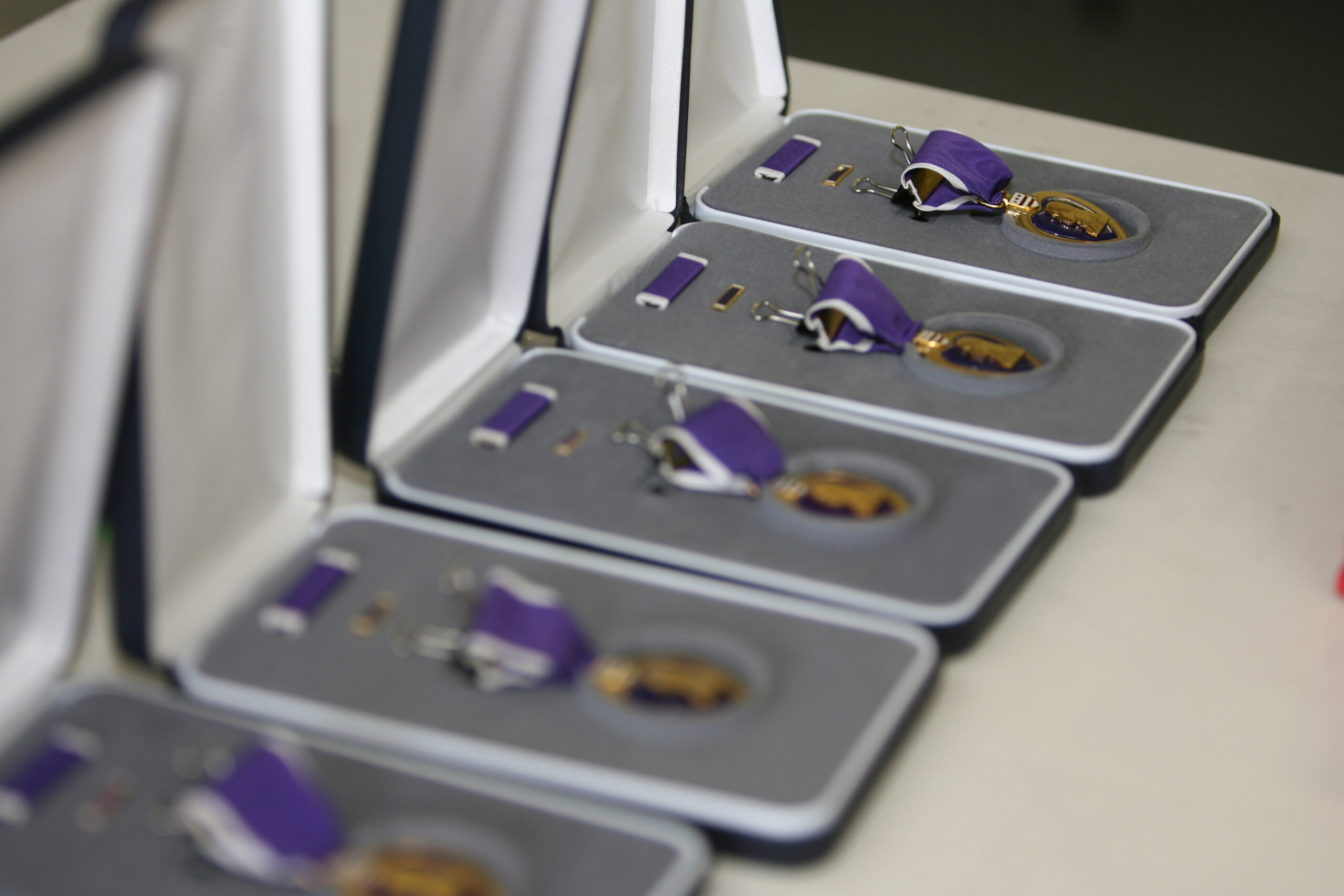 Five Marines from 1st Battalion, 25th Marine Regiment, Regimental Combat Team 5, were awarded the Purple Heart Medal. General Michael W. Hagee, commandant of the Marine Corps, personally pinned the medals on the wounded Marines. The enlisted Marines were wounded in action while fighting the War on Terrorism in the Al Anbar Province of Iraq.