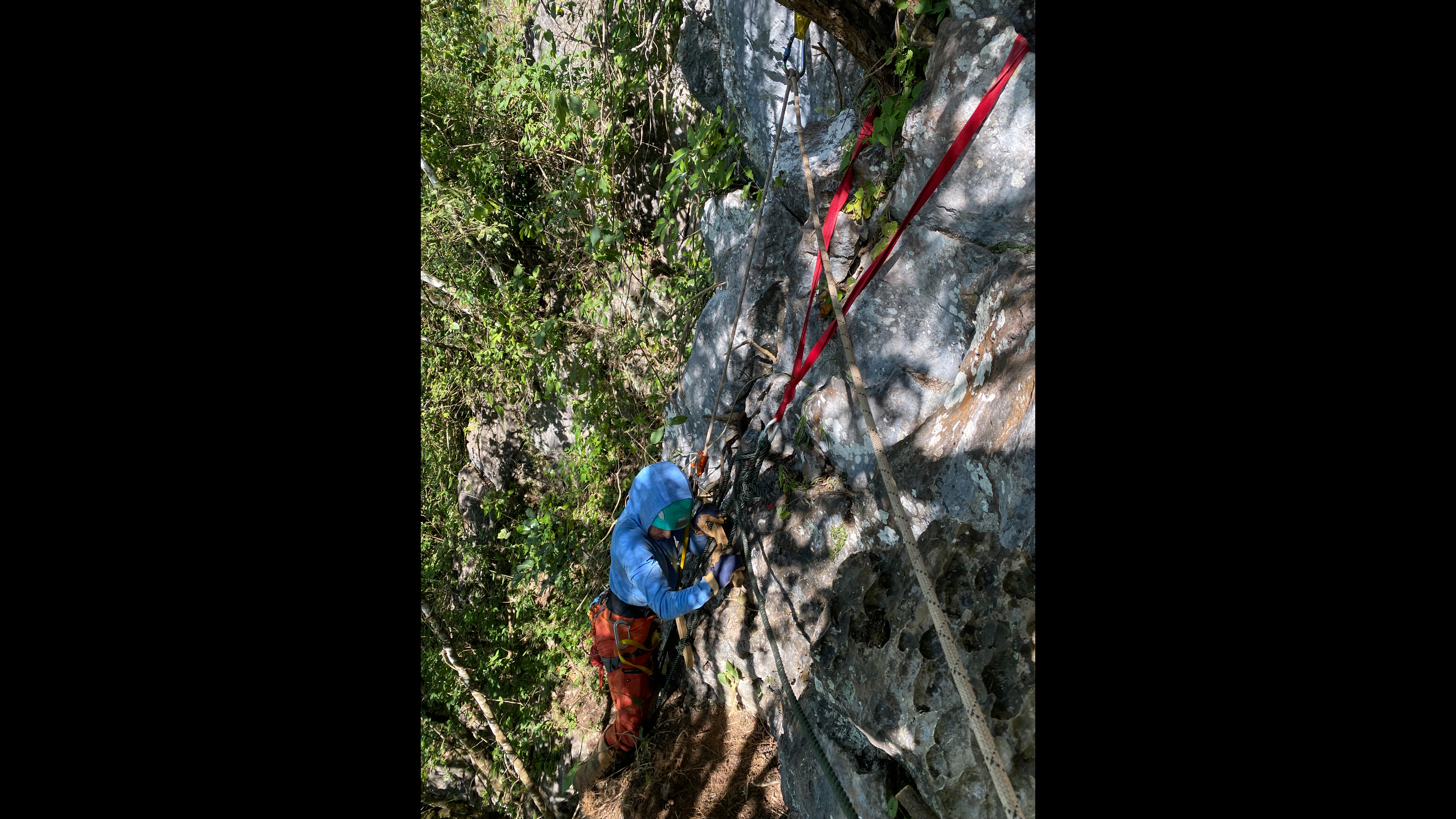 DPAA investigation team rappels down to one of the ledges they are investigating below the Lima 85 site in Laos.