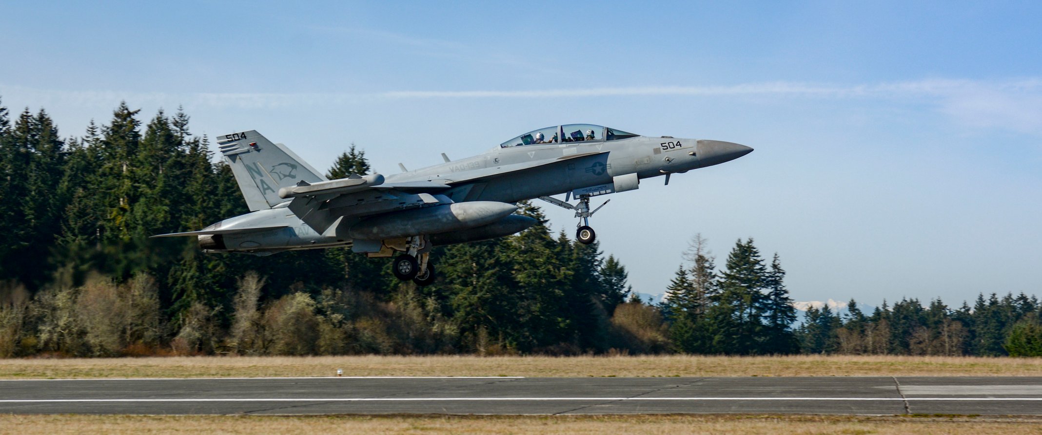 190401-N-HC646-0062 OAK HARBOR, Wash. (April 1, 2019) An EA-18G Growler assigned to the "Cougars" of Electronic Attack Squadron (VAQ) 139 takes off during a Field Carrier Landing Practice (FCLP) at an outlying landing field attached to Naval Air Station Whidbey Island. FCLP is a required flight training exercise that simulates conditions encountered during carrier landing operations while on deployment. (U.S. Navy photo by Mass Communication Specialist 2nd Class Marc Cuenca/Released)