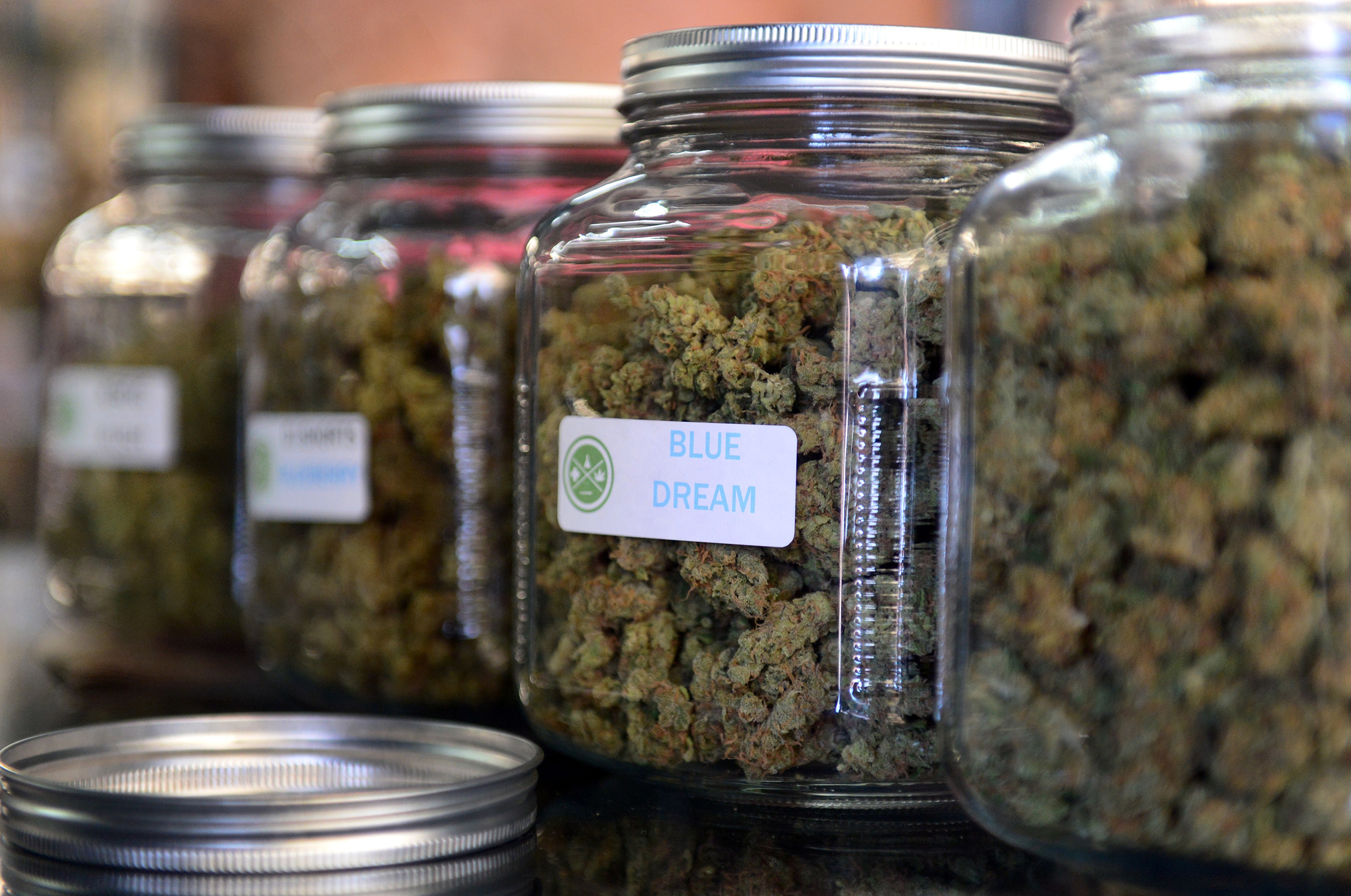 The highly-rated strain of medical marijuana 'Blue Dream' is displayed among others in glass jars at Los Angeles' first-ever cannabis farmer's market at the West Coast Collective medical marijuana dispensary, on the fourth of July, or Independence Day, in Los Angeles, California on July 4, 2014 where organizer's of the 3-day event plan to showcase high quality cannabis from growers and vendors throughout the state. A vendor is seen here responding to questions and offering a whiff of the strain 'Skyjack'. AFP PHOTO/Frederic J. BROWN (Photo credit should read FREDERIC J. BROWN/AFP via Getty Images)