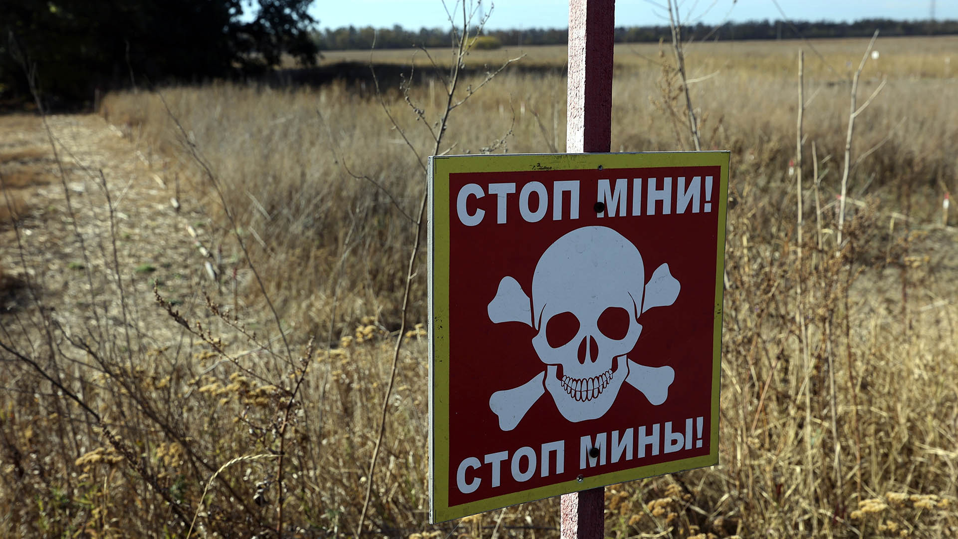 Land Mines in Ukraine