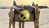 Three soldiers hold a green and yellow flag on an airfield.