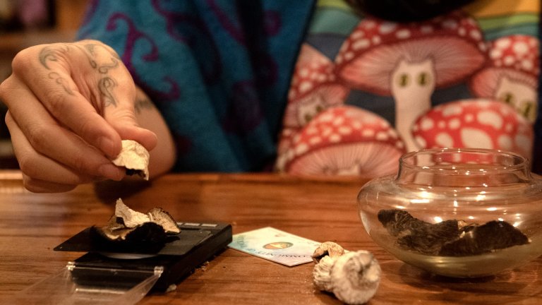 A worker weighs a psilocybin mushroom at Colorado’s first psychedelic church in Colorado Springs, Colorado.