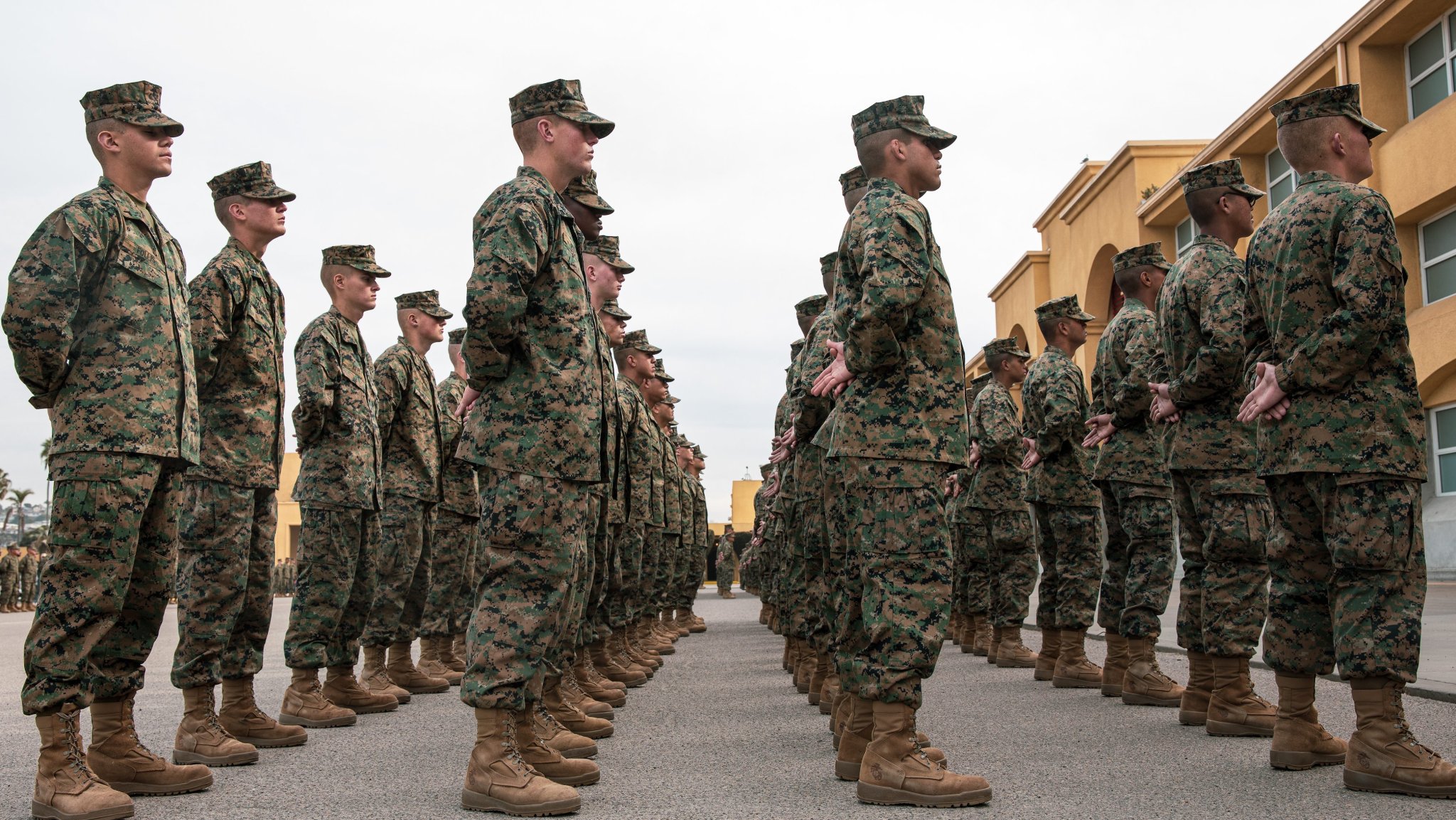 New U.S. Marines with Lima Company, 3rd Recruit Training Battalion, stand in formation before their family day ceremony at Marine Corps Recruit Depot San Diego, California, Jan. 16, 2025. After a long, 13 weeks of physical and mental challenges, early mornings, letters to and from home, this is the first time friends and families will see their newly transformed Marines. (U.S. Marine Corps photo by Cpl. Sarah M. Grawcock)