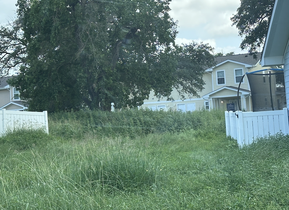 Residents in the area said that the overgrowth pictured above covers a play area that cannot be seen under the weeds.